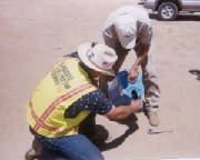 High-tech eco-friendly liquid enzyme for soil stabilization